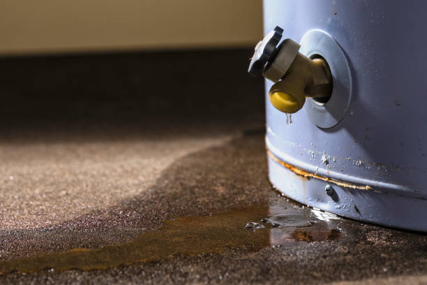  Corning, IA Water damage restoration Pros