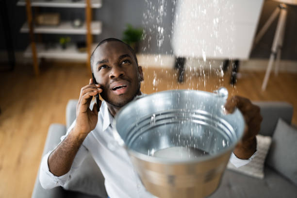 Best Water damage restoration services  in Corning, IA