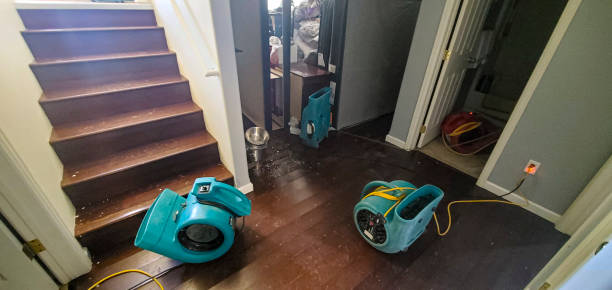 Best Water damage contractors near me  in Corning, IA