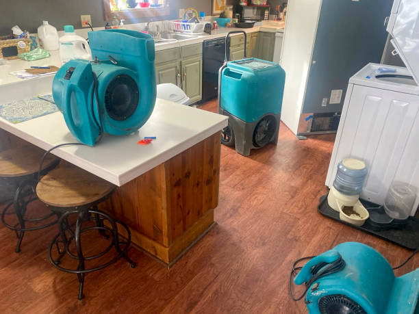 Best Water damage cleanup near me  in Corning, IA