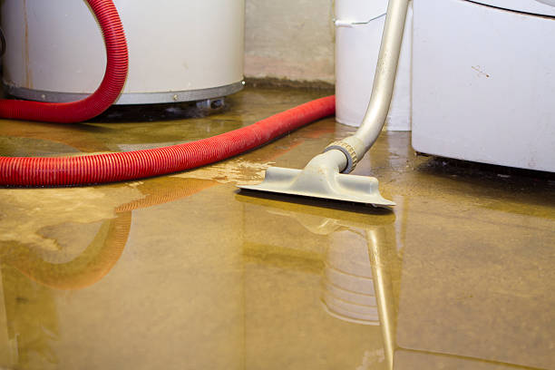 Best Water damage contractors near me  in Corning, IA