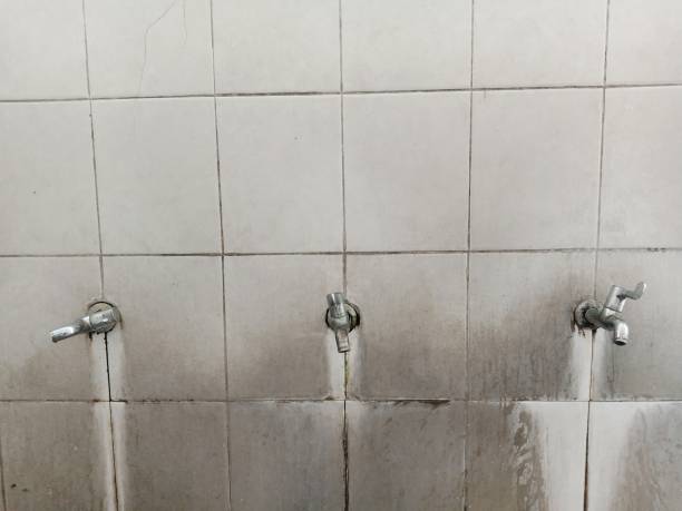 Best Basement water damage restoration  in Corning, IA