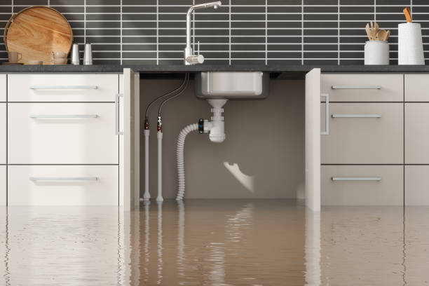 Best Mold removal after water damage  in Corning, IA